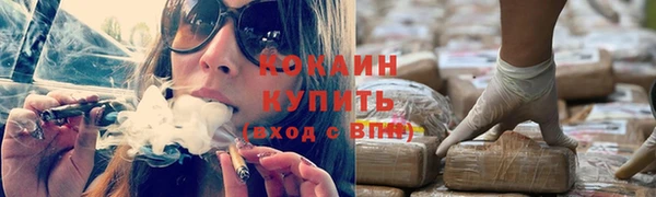 spice Алзамай