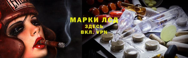 spice Алзамай