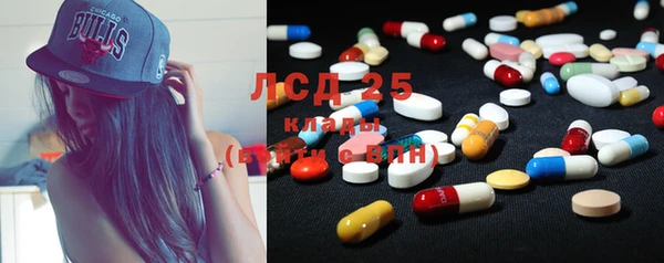 прущие грибы Алексеевка