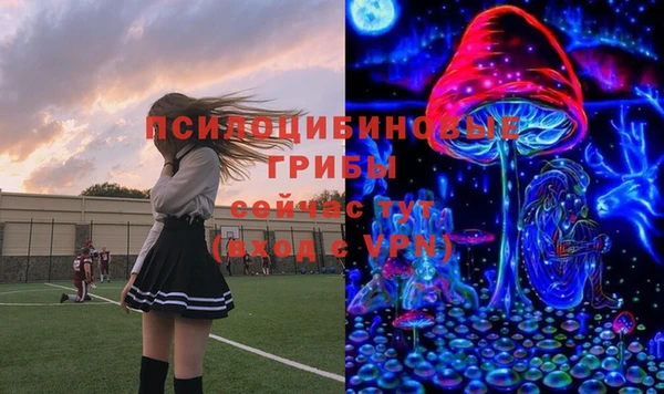spice Алзамай
