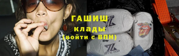 прущие грибы Алексеевка