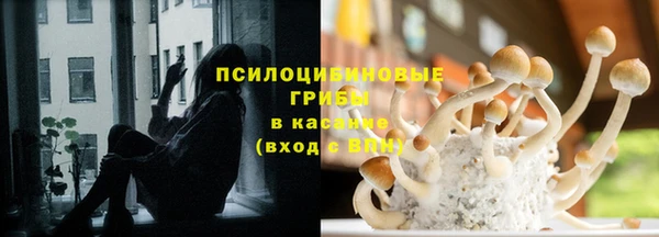 spice Алзамай