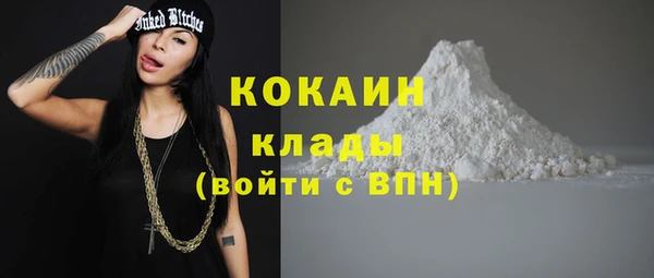 spice Алзамай
