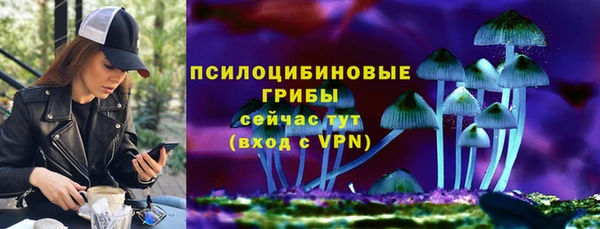 прущие грибы Алексеевка